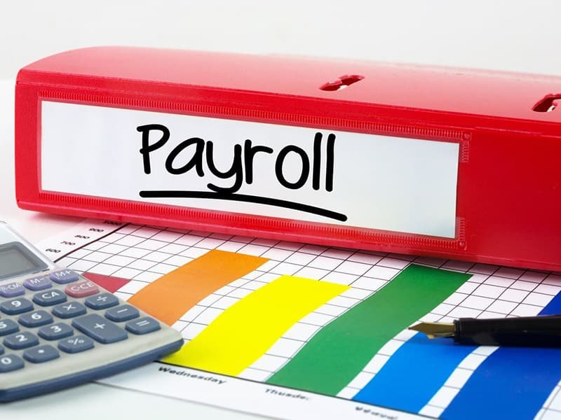 TDS & Payroll Services